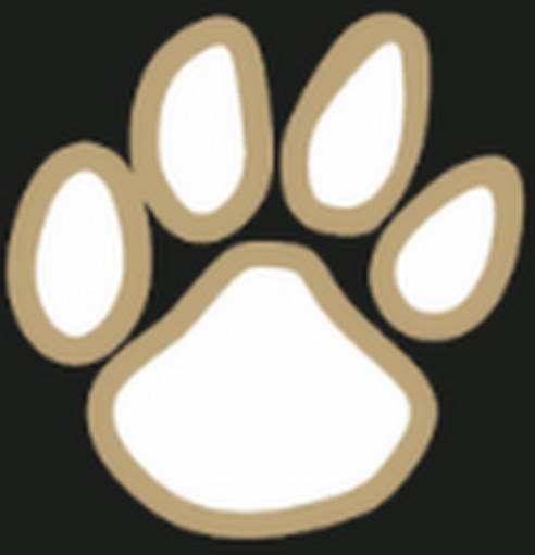 BrickCity Tigers of Sanford